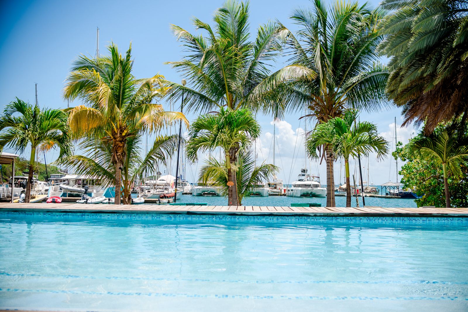 Pool and marina view at best places for investment properties