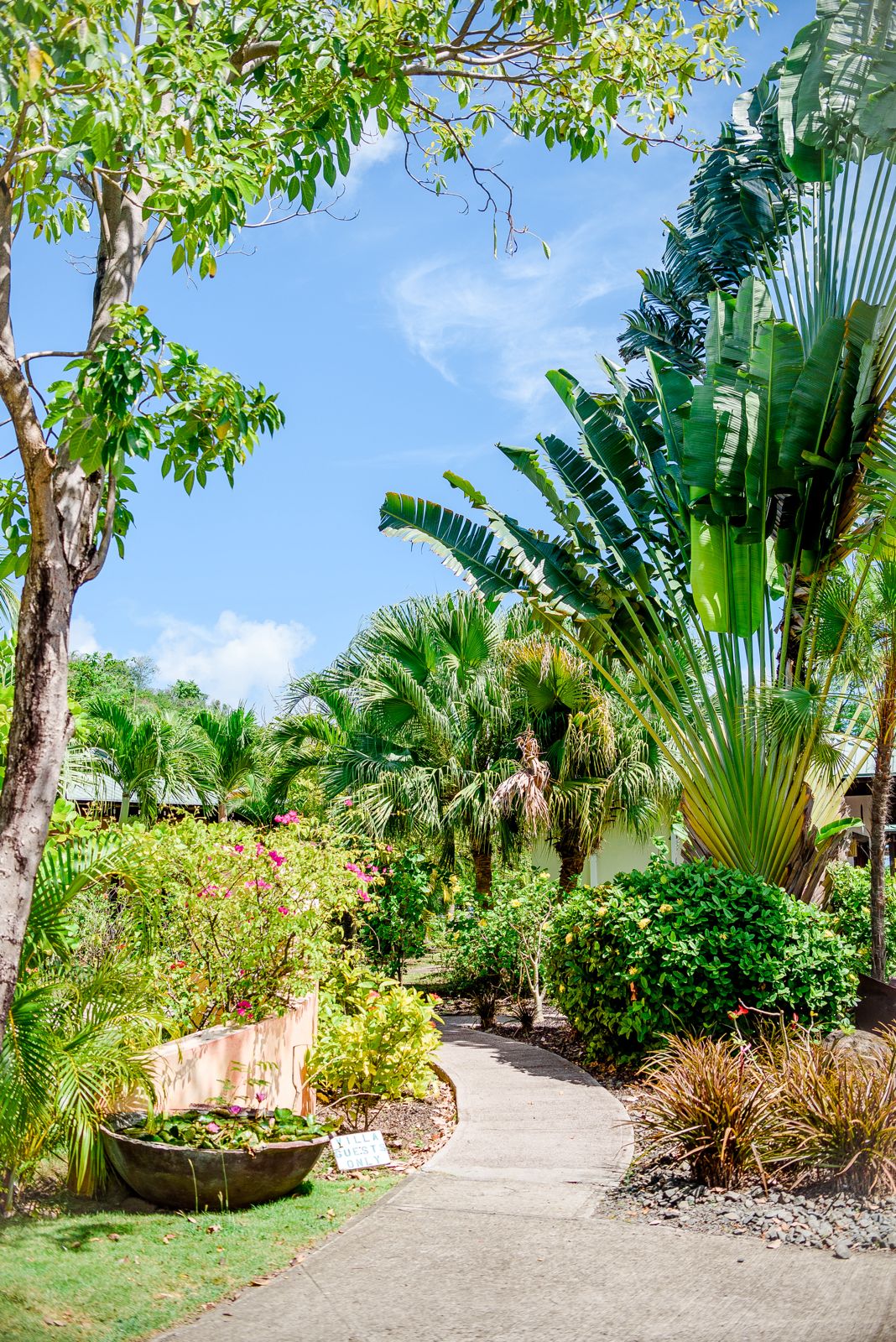 Tropical garden pathway with lush vegetation at best places for investment properties